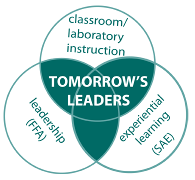 three-circle model