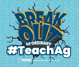 Breakout Challenge