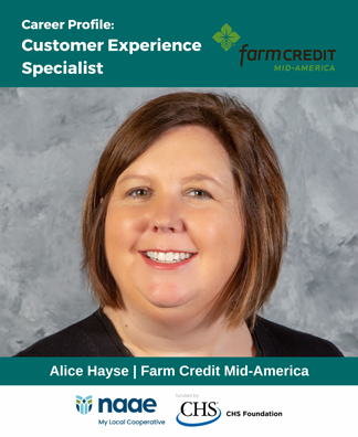 Customer Experience Specialist