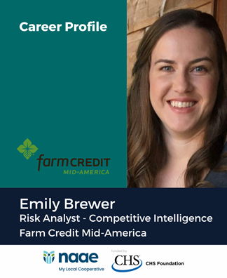 Risk Analyst-Competitive Intelligence