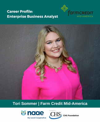 Enterprise Business Analyst