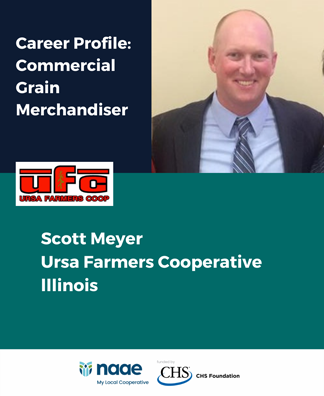 Grain Merchandiser