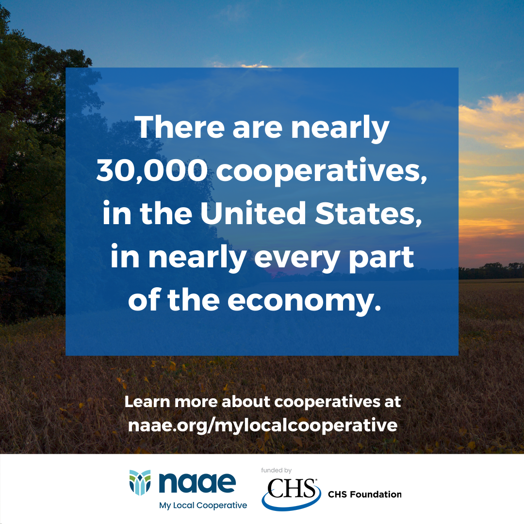 Cooperatives in the US