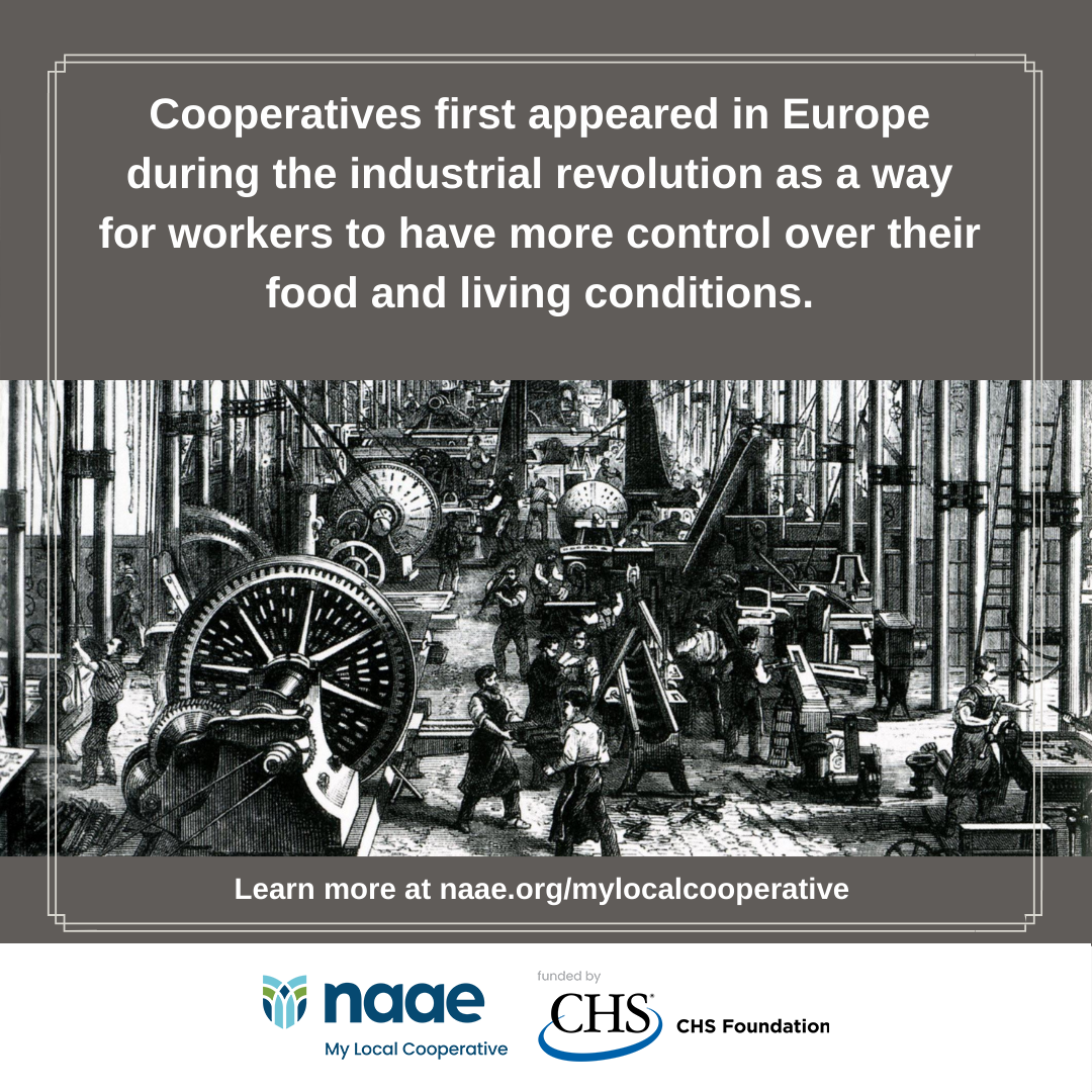 First Cooperatives
