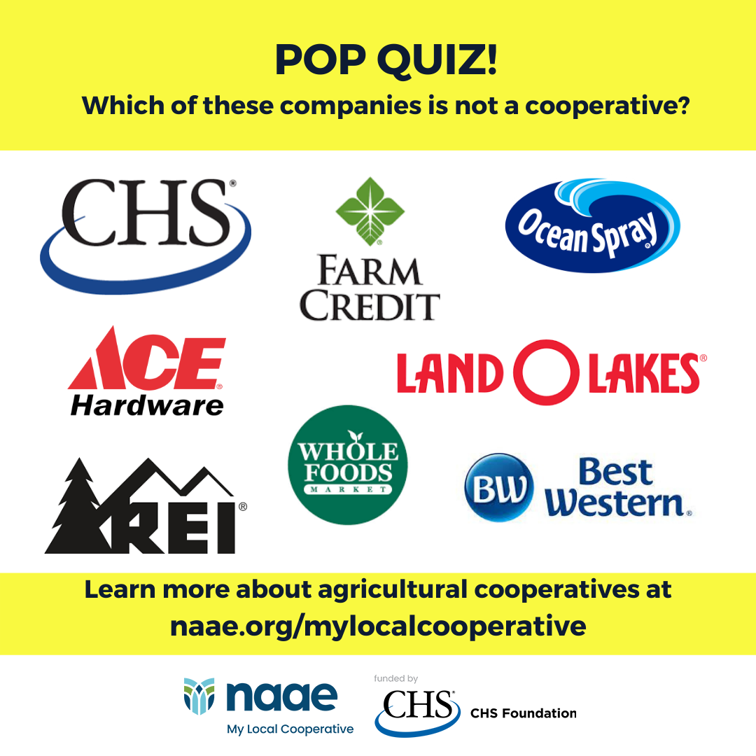 Which of these is not a cooperative?